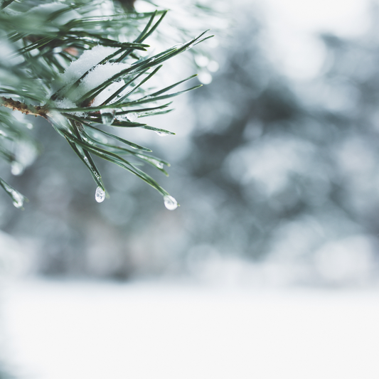 Garder une peau douce et hydratée en hiver : 7 conseils incontournables