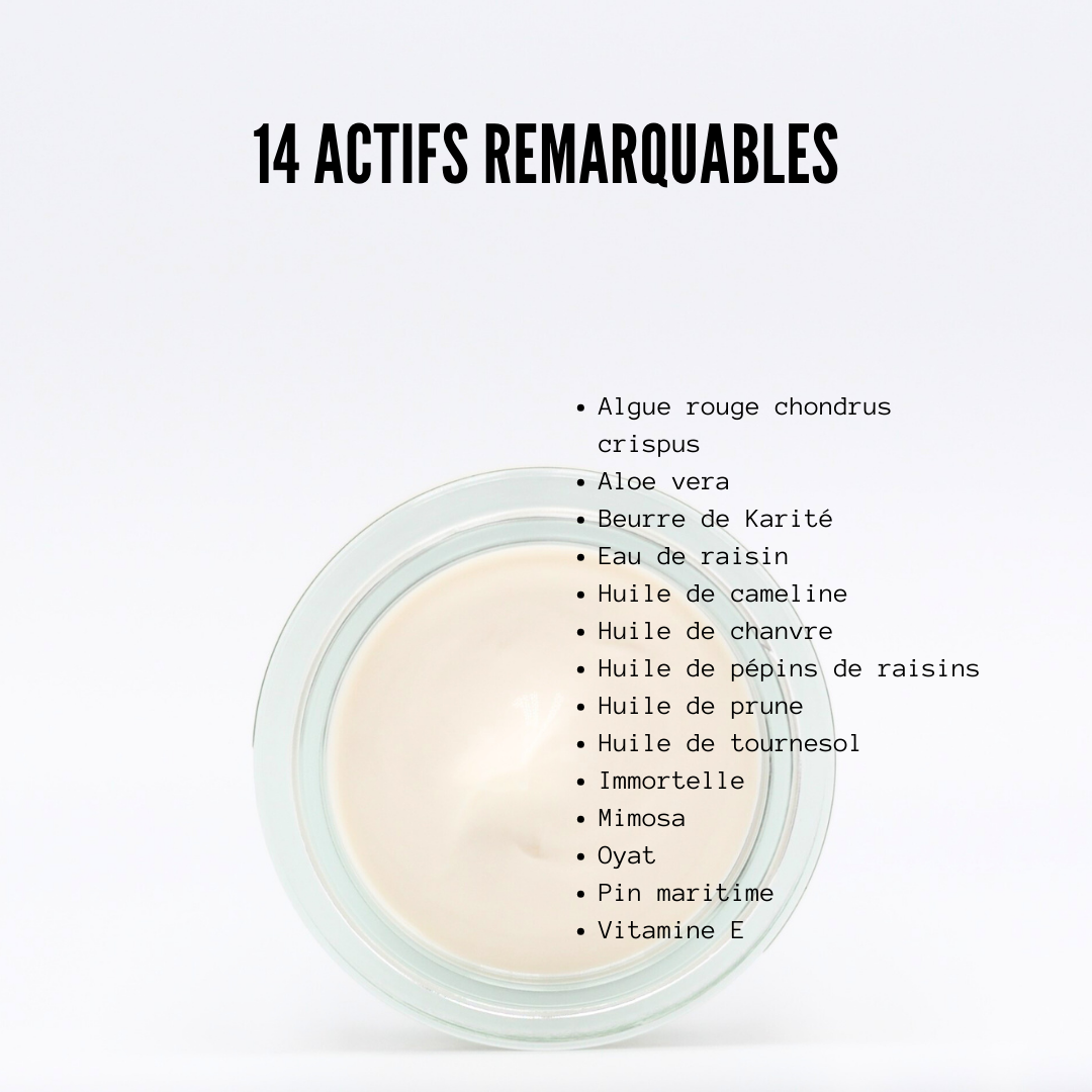 L'ONCTUEUSE format VOYAGE