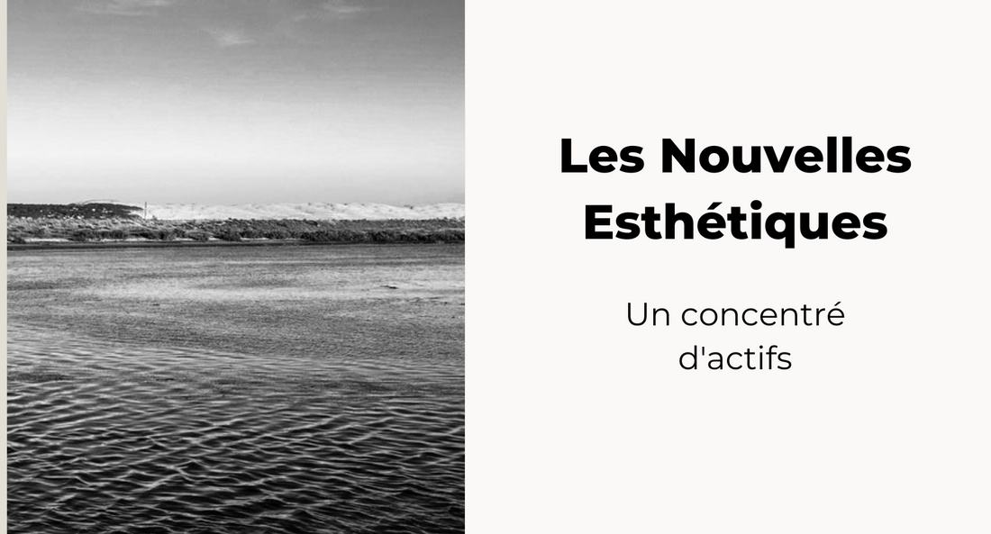 Les Laboratoires du Cap Ferret dans Les Nouvelles Esthétiques
