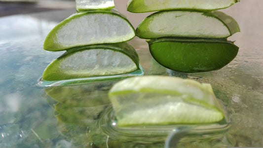 L'Aloe Vera : Hydratation, réparation et rééquilibrant